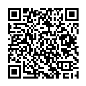 流墨墨咂咂嘴四处打量着周围有什么适合休息的环境二维码生成