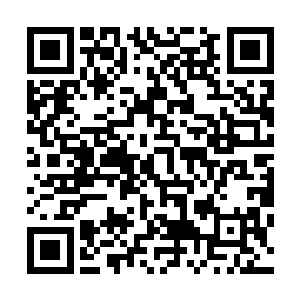 流墨墨和莫崎却是一脸卧槽的直接冲到血幽紫的意识体面前二维码生成