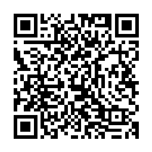 流墨墨手腕一转刚把两个玉盒收进手镯里一道明亮的利芒斜飞来二维码生成