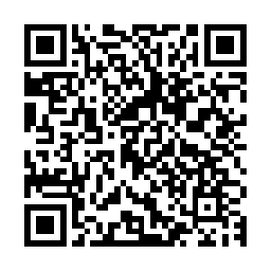 流墨墨无奈的抬头看了看面前那株植物头顶的红色名字以及说明二维码生成