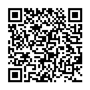 流墨墨有些狐疑的看着海胆眼底深处露出的一抹惧意二维码生成