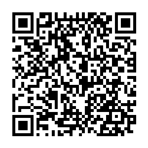 流墨墨直接无视了他们神情中的犹豫自顾自的又走回那五枚禅蛇蛋面前二维码生成