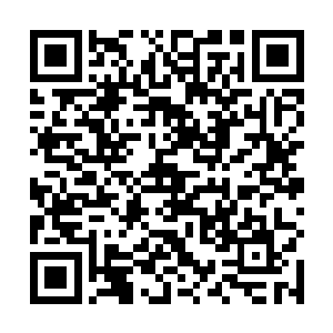 流墨墨看着下方竞价已经到了一百多万仙晶的莫洛仙兽二维码生成