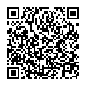 流墨墨羞恼的把五只拱过来想爬到她身上的小禅蛇一脚一个踹到一边二维码生成