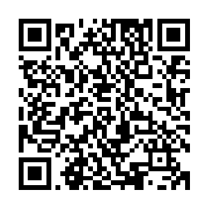 流墨墨诧异的发现周围视野所及却是只有牵着自己手的雪如楼二维码生成