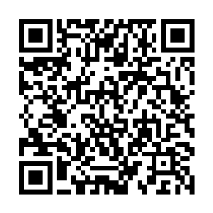 流墨墨这次取出来的玉盒都是统一标准的两掌长方盒二维码生成