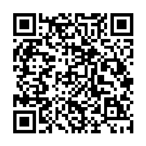 流月没日没夜的苦练武功就是希望有一日能够找到三弟二维码生成