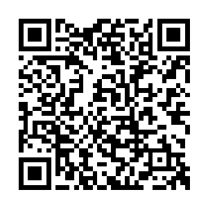 流浪汉没办法将视线从那瓶金朗姆酒上转移开来二维码生成