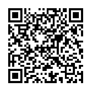 测试他们是否能抵御住域外天魔和帝国魔人的侵袭二维码生成