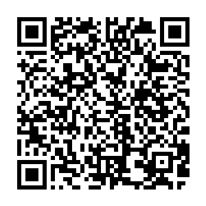 浑不知道这直升机舱门边笑眯眯扮侍者的鬣狗应该是这场战斗中杀人最多的二维码生成