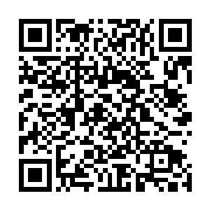 浑然感觉不到受伤的手指和坚硬的泥土摩擦传来的钻心疼痛二维码生成