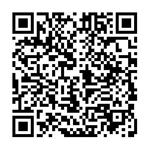 浑身上下散发着暴虐的气息令外面的混沌兽和域外天魔本能地生出了一丝恐惧二维码生成