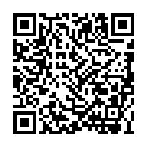 浑身布满黑色羽毛的九头巨兽正缓缓地迈向天网二维码生成