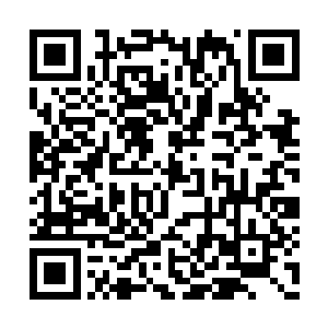 浑身腥臭味的船员和拿着大捞网的工人比比皆是二维码生成