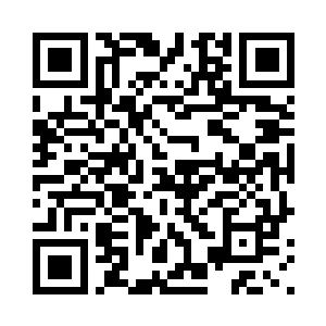 浓密的竹林形成了一圈一圈的林荫二维码生成