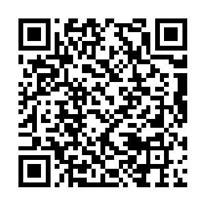 浓郁如牛乳的灵气收缩中现出盘膝静坐的苗毅身形二维码生成
