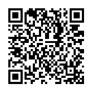 浩然正气应该那个对那个血魔有着很大的压制作用二维码生成