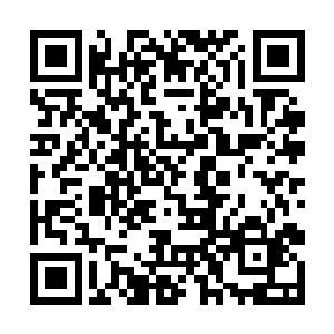 海丝也要积极地跟宋亦冉她们一起准备应对期末论文二维码生成
