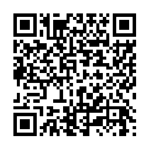 海伦太太说这边你还给我分了股份……我不要这些股份二维码生成