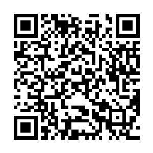 海勒会把这个家伙身上的东西一样不少的全部掏出了的二维码生成