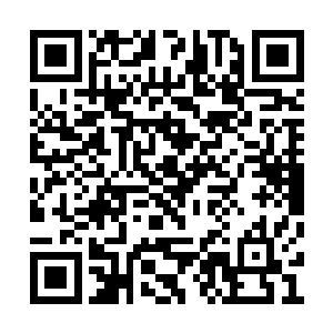 海勒的笑容之中有一种可以让人放下心来的自信二维码生成