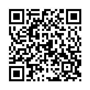 海城最大的蛋糕他终究还是咬下一大口二维码生成
