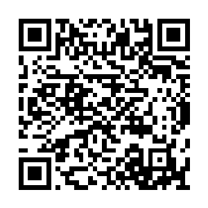 海岛上平静地能够听到潮水的起落和鸟类的鸣叫二维码生成