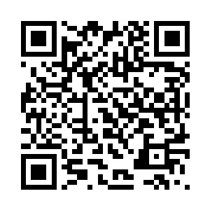 海市的机场全面停止了航班的起降二维码生成