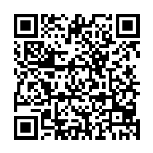 海洋魔兽具有的破解符咒能力应该是因为化符原珠的缘故二维码生成