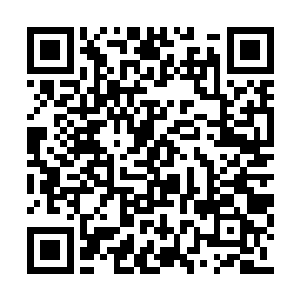 海王那边的上千兵马早就给个女鬼杀得差不多了二维码生成