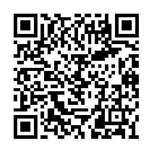 海盗基地等等……那种情况下支线任务会很丰富二维码生成