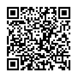 海蛇帮已经是目前这片海域上最强大的海盗联盟了二维码生成