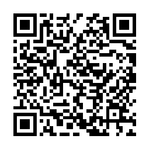海诺领袖当然不会天真得将我的话当成了是在恭维自己二维码生成