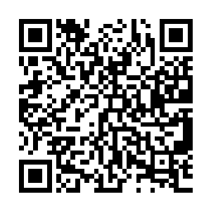 海阳县纪委书记杨大志却接到了白山市纪委书记司南下的电话二维码生成
