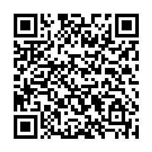 海风魂自然是对秋风林区域内很多的事情都是了解的二维码生成