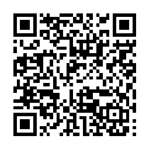 海魁星光罩之上的裂缝几乎被魔族轰出的光弹填满二维码生成