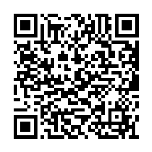 消耗的修为之力就只能通过丹药和神晶来恢复了二维码生成