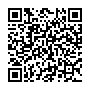 涌动在四肢百骸和血肉细胞内的魔气就像是遇到了克星一样二维码生成
