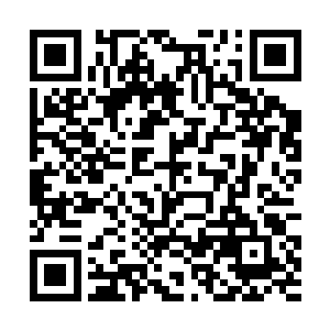 淘宝拳想都不想便是一脚踢进了那片没有视野的草丛二维码生成