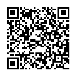 淡红色的羊绒衫把少女挺拔茁壮的鸽乳勾勒得浮凸生姿二维码生成