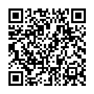 深处修长的手指轻轻一点北辰凤小巧秀气的鼻子二维码生成
