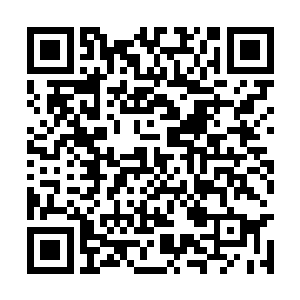 深夜里在用着轻功飞快地朝着市区近郊赶去的王钟二维码生成