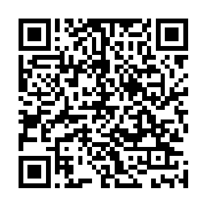 深藏在谷内深处的其他非战人员就看到战士头领们抓着火把二维码生成