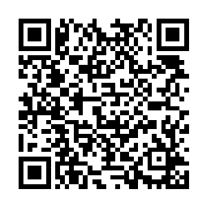 淳王玄天华却认真地看着对面这个同他说话的女子二维码生成