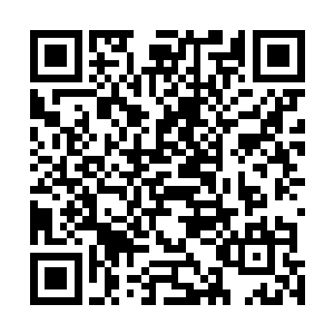 混乱的时候不知道有谁说了句兽神大人带着龙战他们走了二维码生成