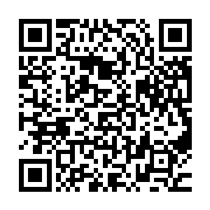 混在人群中的纳甲土尸和杨云趁机扯着嗓子不停的起哄煽动道二维码生成
