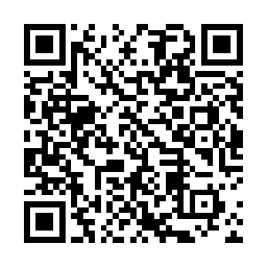 混沌域界和星空中的不少势力都建立了非常良好的关系二维码生成