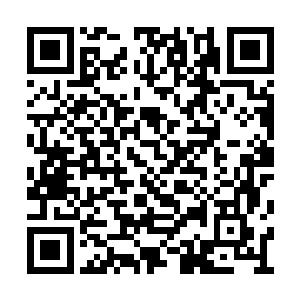 混沌钟不是说只要把这些邪魔后裔弄到冥河之中二维码生成