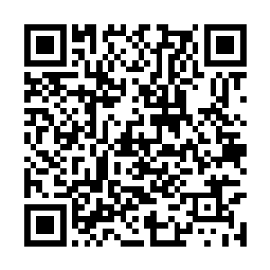 混沌钟那凝重的声音也瞬间从楚旬脑海中响了起来二维码生成