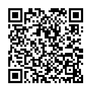 清伊娜姑娘突然闯入长兴王府意图对长兴王和公主不利二维码生成